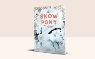 The Snow Pony Mystery