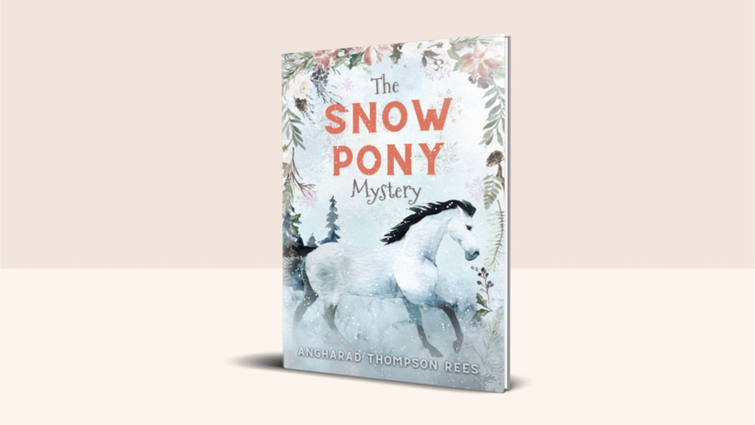 The Snow Pony Mystery